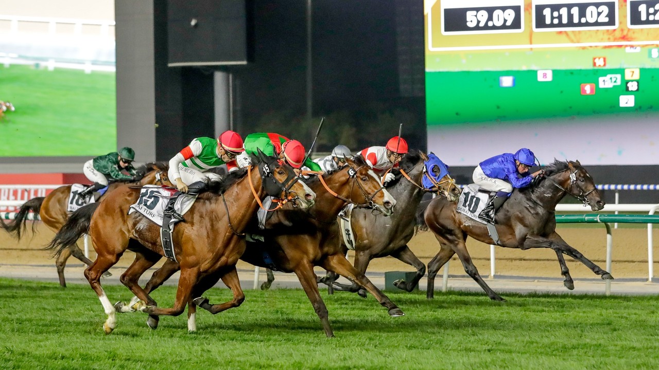 Facteur Cheval's Journey From Underdog To Dubai Champion Image 1