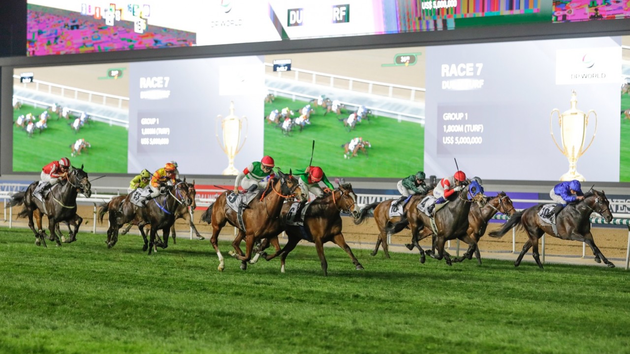 Facteur Cheval's Journey From Underdog To Dubai Champion Image 3