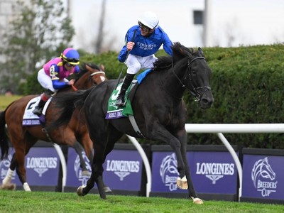 Romance Gears Up For American Races: Appleby's Strong US ...