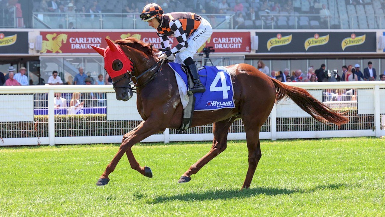 Southport Tycoon Eyes Everest: All Aged Stakes Prep Image 1