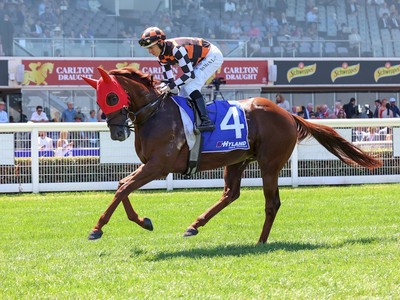 Southport Tycoon Eyes Everest: All Aged Stakes Prep Image 1