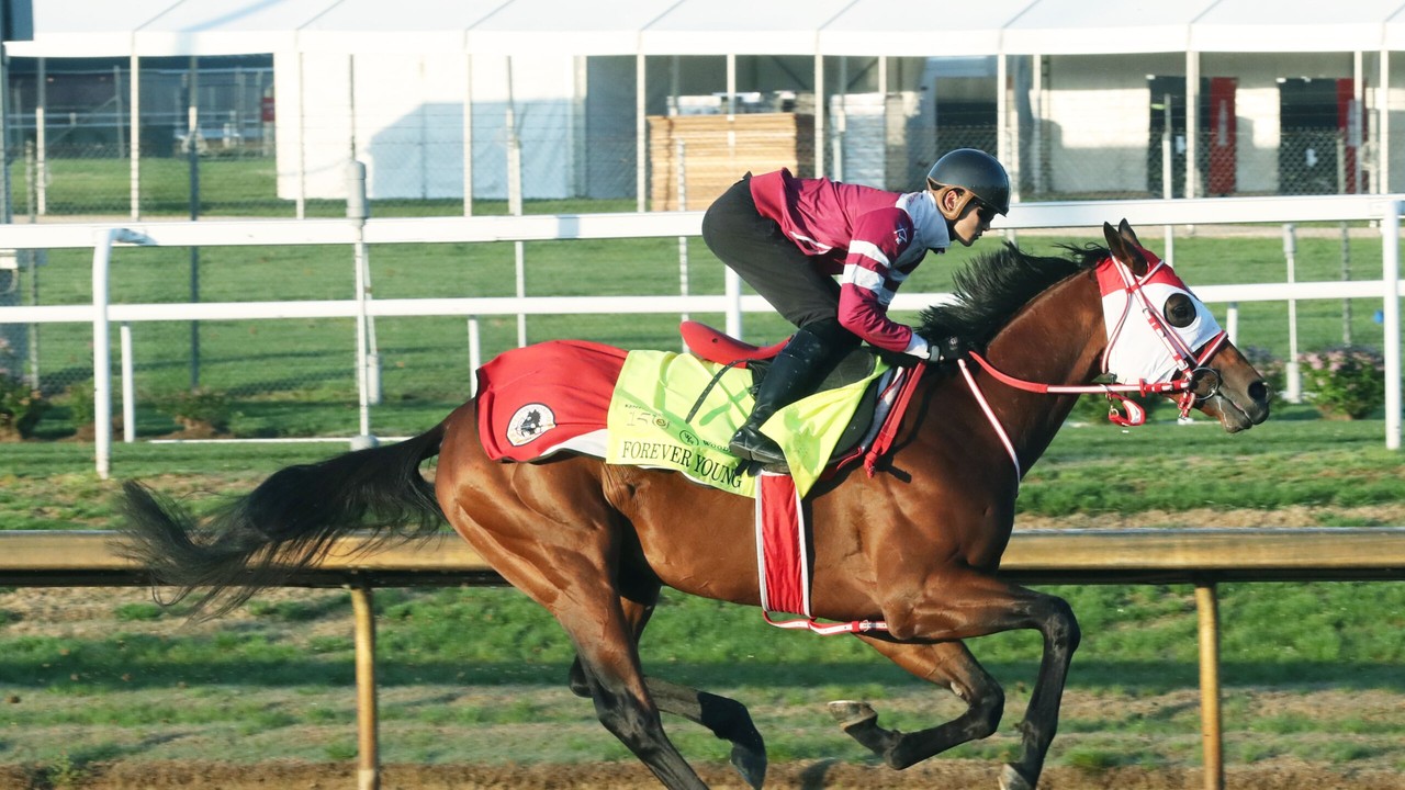Sakai Delighted With Forever Young's Pre-Derby Training Image 1
