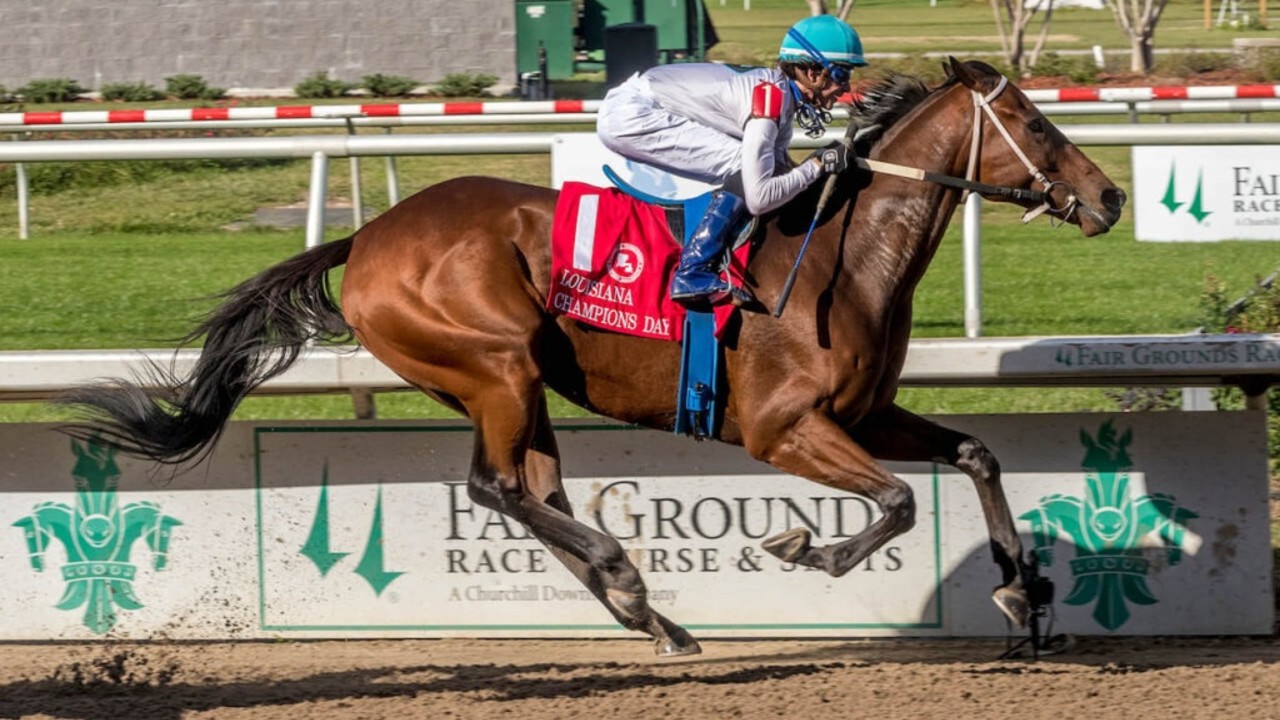 D'Amato Sets Sights On Kentucky Derby Victory Image 2