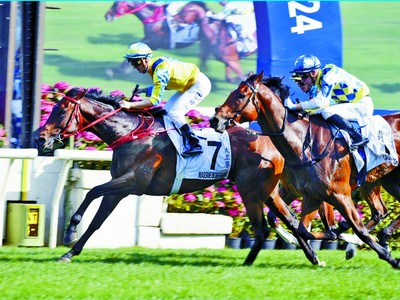 Yip's Confidence In Massive Sovereign's FWD QEII Cup Chances Image 1