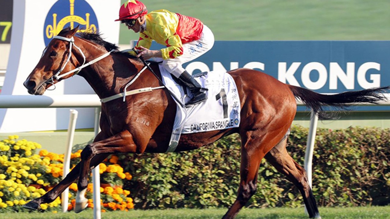 Avdulla Eyes Further Group One Triumph With California ... Image 1
