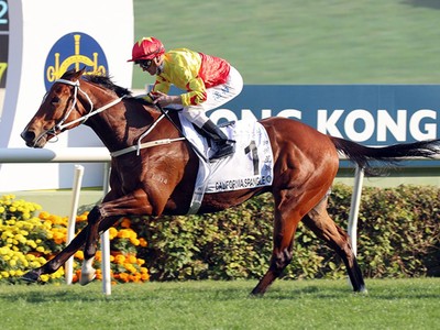 Avdulla Eyes Further Group One Triumph With California ... Image 1