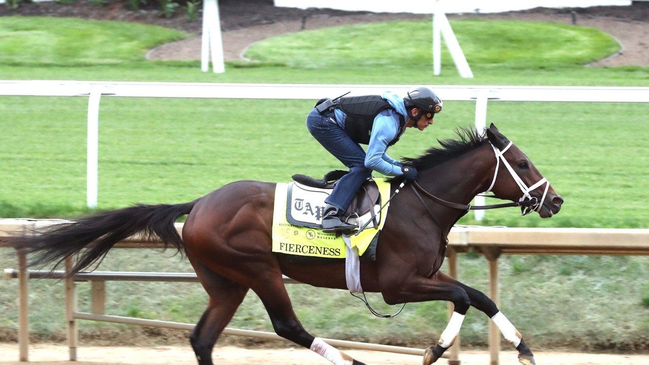 Fierceness Earns Praise In Last Kentucky Derby Workout Image 1