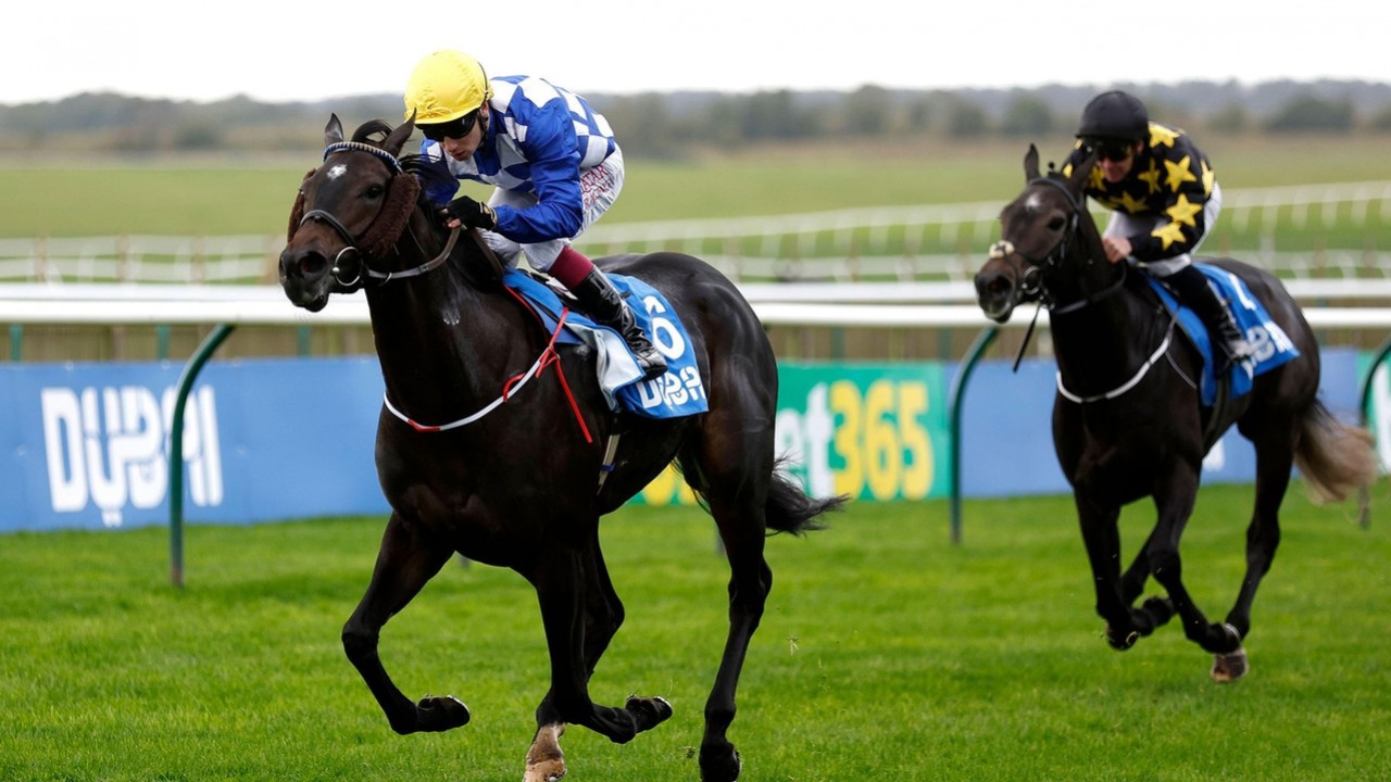 Burke's Confidence In Fallen Angel For Guineas Victory Image 2