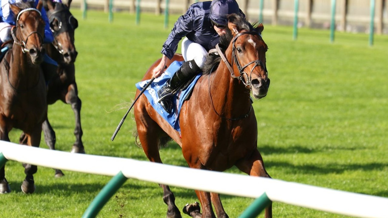 City Of Troy Leads Field In Quest For 2000 Guineas Victory Image 1