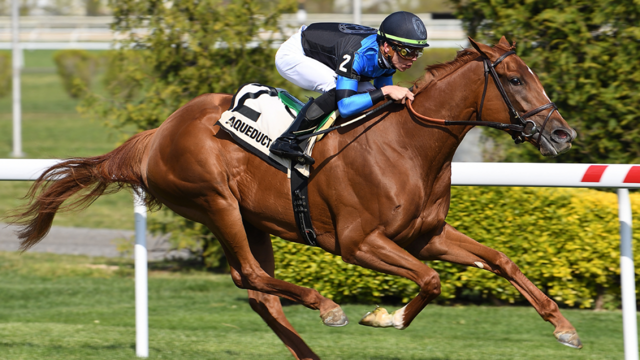 Chad Brown's Sweet Rebecca Eyes Royal Ascot Image 1