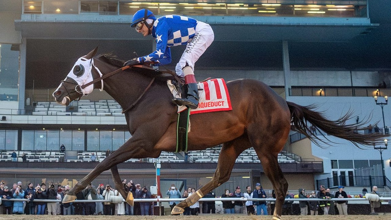 Hoist the Gold Aimed At Stakes Race Back At Churchill Downs ... Image 1