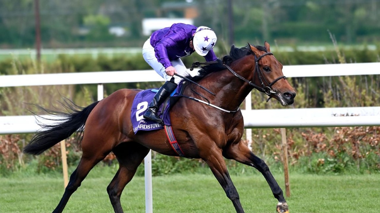 Dallas Star Heads Towards The Epsom Derby Image 1