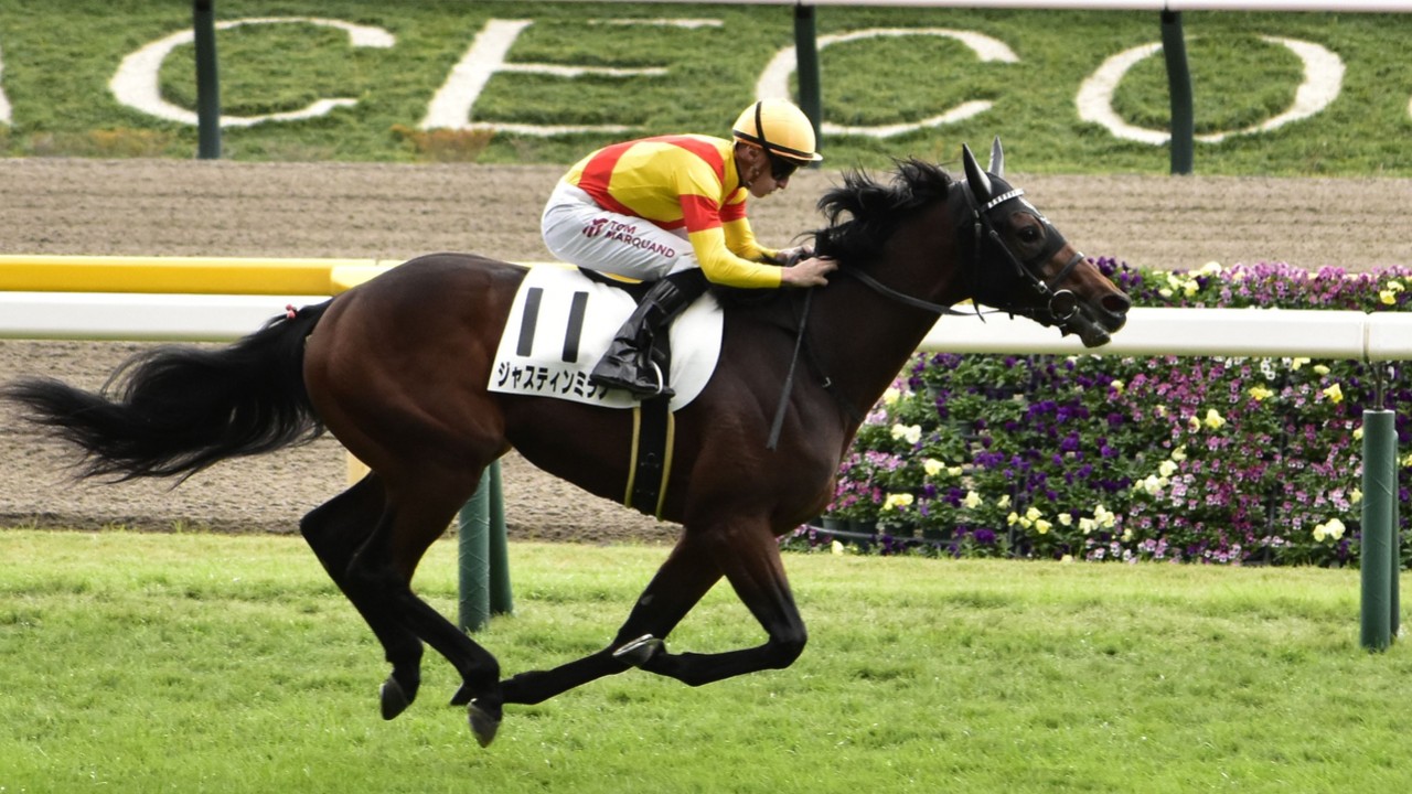 Three Early Favorites Emerge For Japanese Derby Image 1