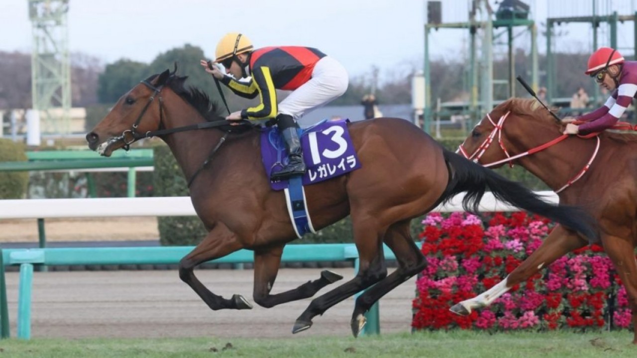Three Early Favorites Emerge For Japanese Derby Image 2
