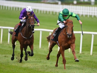 Whistlejacket Secures Place At Royal Ascot Image 1