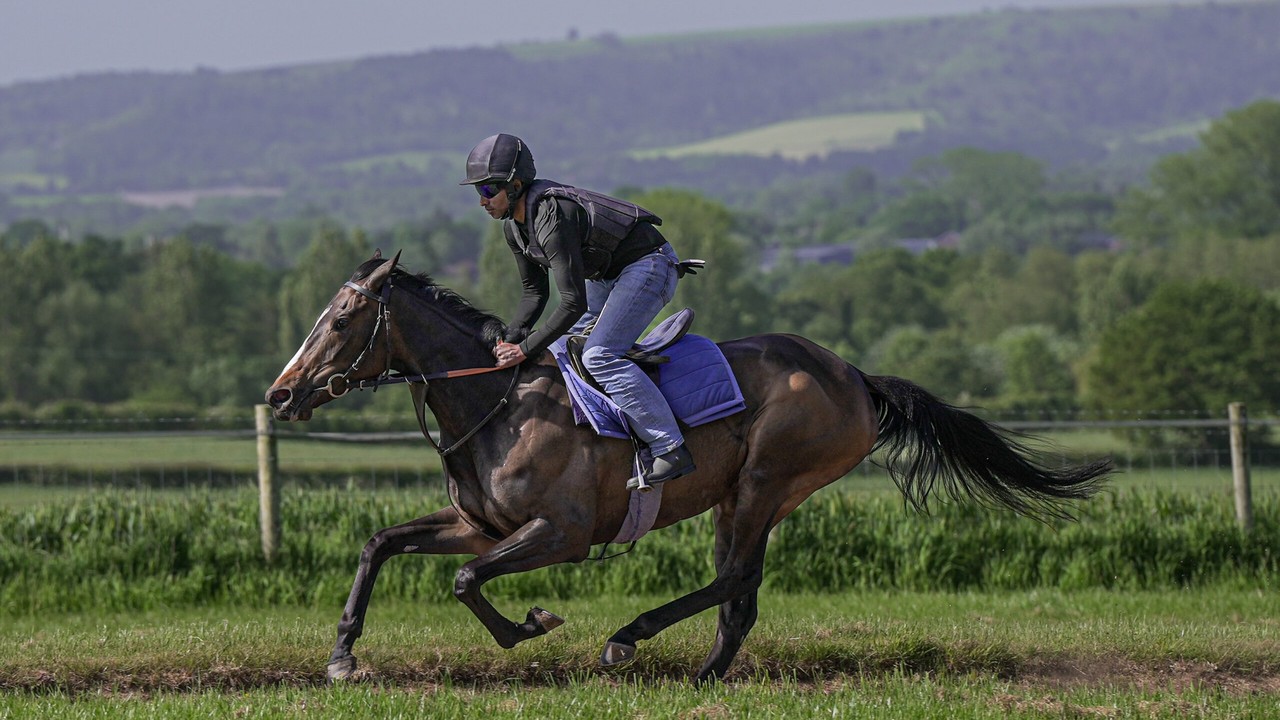Caius Chorister's French Journey Aims For Gold Cup Image 1