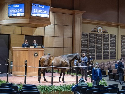 Fasig-Tipton's Midlantic May 2YOs In Training Sale Gets New ... Image 1