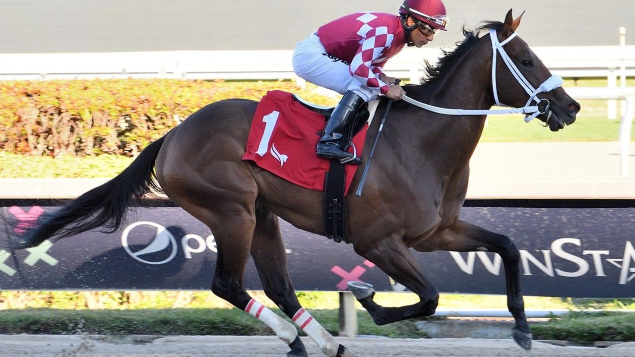 Withers Stakes Victor Uncle Heavy Set for Preakness ... Image 1