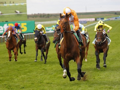 Jayarebe Eyes Royal Ascot Image 1