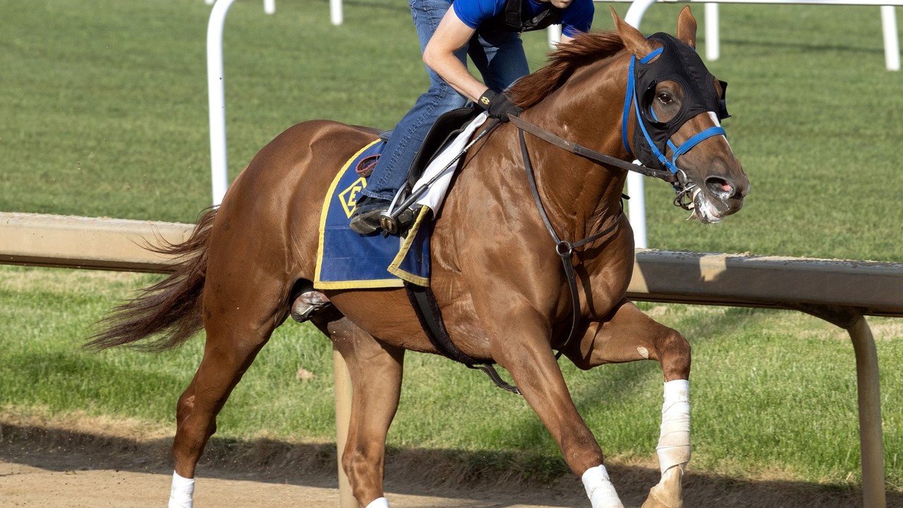 Preakness Insights: Mugatu, a Bargain Find, Promises ... Image 1