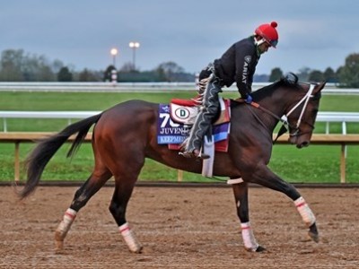 Preview: Gr.1 The Preakness Stakes 2021 Image 1