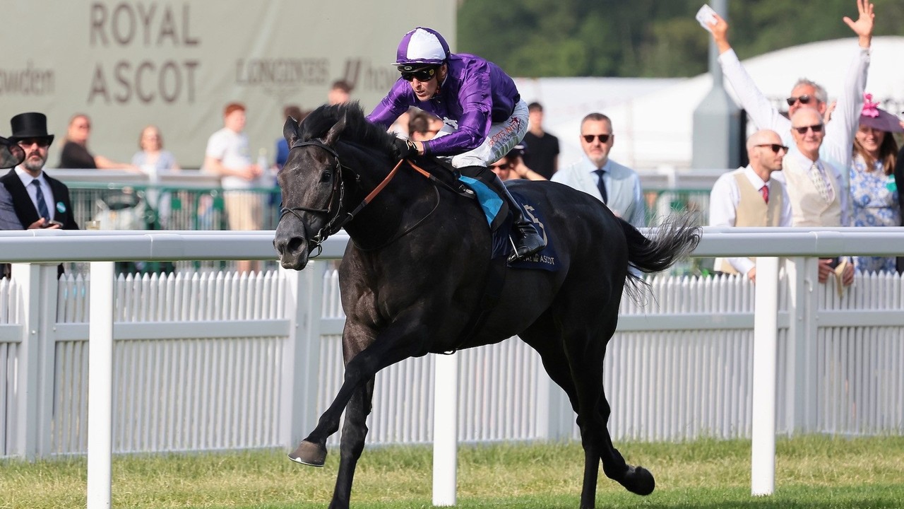 King Of Steel Tops Entries for Coronation Cup &amp; ... Image 1