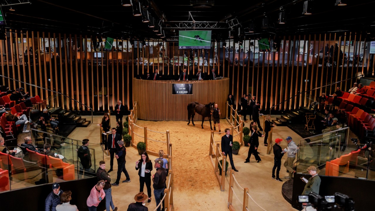 Ajay Anne: Setting A New Vision For Arqana In The Middle ... Image 1