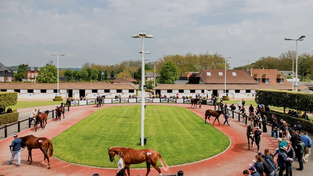 Worlds Collide: Arqana’s Ludovic Cornuel On Their Upcoming ... Image 1