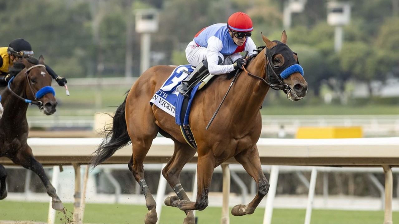 Countdown to Preakness Glory Begins Image 1