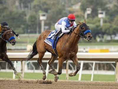 Countdown to Preakness Glory Begins Image 1