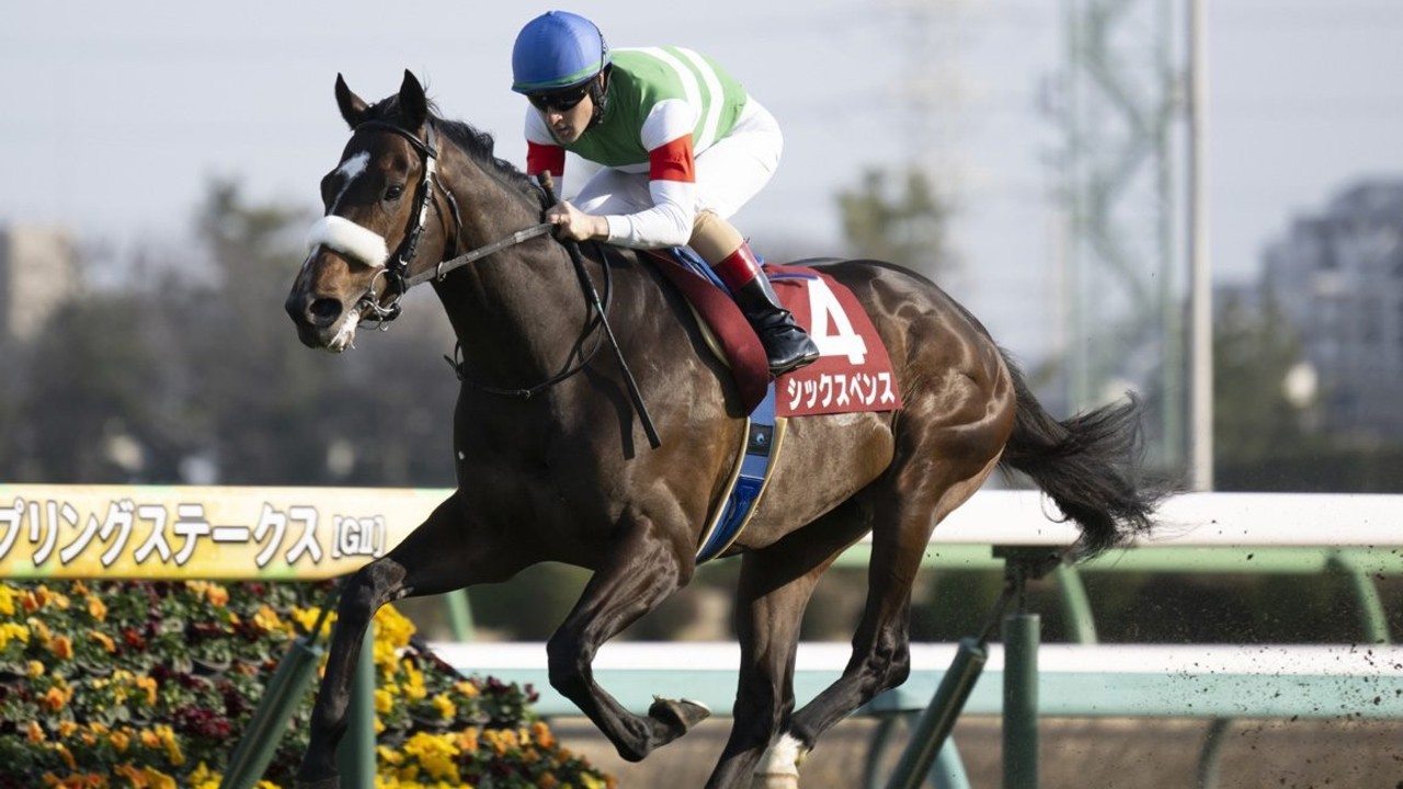 Undefeated Sixpence to Challenge Justin Milano in Tokyo ... Image 1