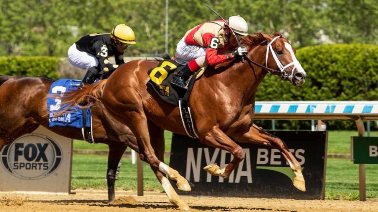 Pletcher Leads Antiquarian to Peter Pan Victory, Sets ... Image 1