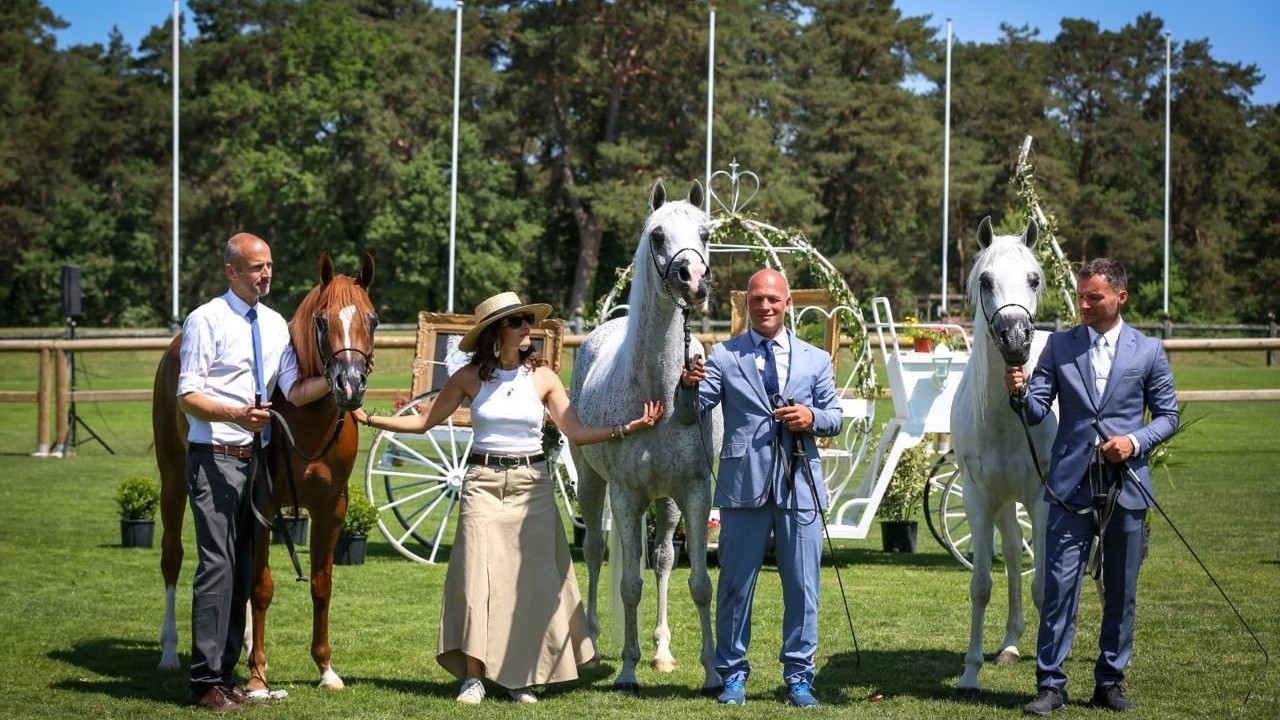 Emirates Arabian Horse Global Cup 2024: Fourth Leg to Kick ... Image 2