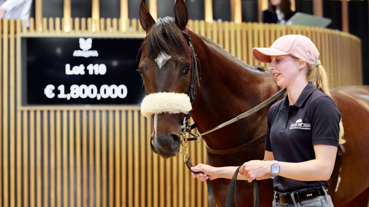 Review: Coolmore and Godolphin’s Epic Bidding War at Arqana ... Image 1