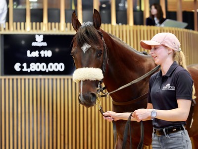 Review: Coolmore and Godolphin’s Epic Bidding War at Arqana ...