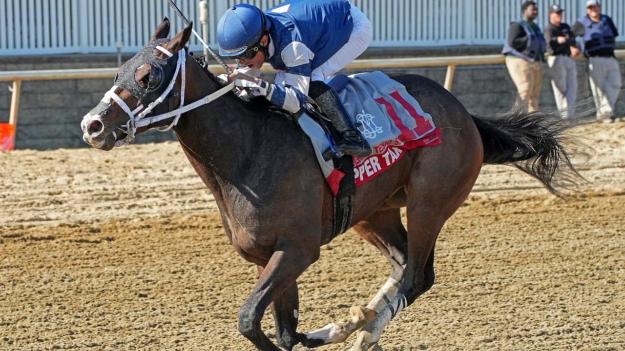 Stakes Contender Copper Tax Withdraws from Preakness Image 1