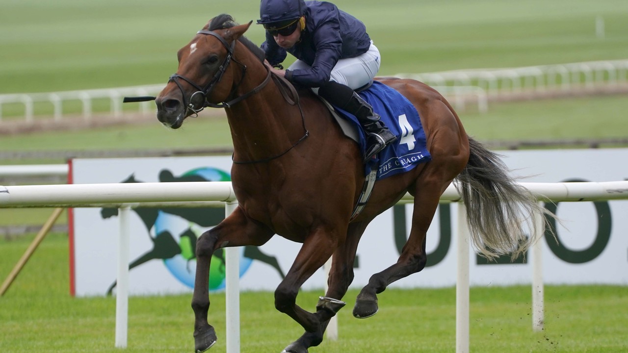 City of Troy: Aidan O'Brien's Hopeful for Epsom Derby ... Image 1