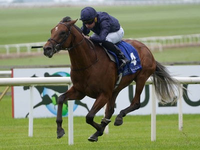 City of Troy: Aidan O'Brien's Hopeful for Epsom Derby ... Image 1