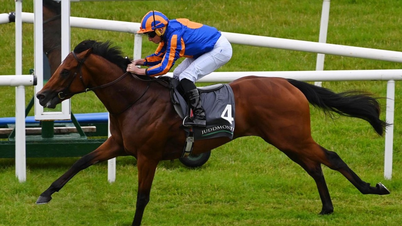 Henry Longfellow Strategising for Success at Royal Ascot Image 1