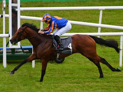 Henry Longfellow Strategising for Success at Royal Ascot Image 1