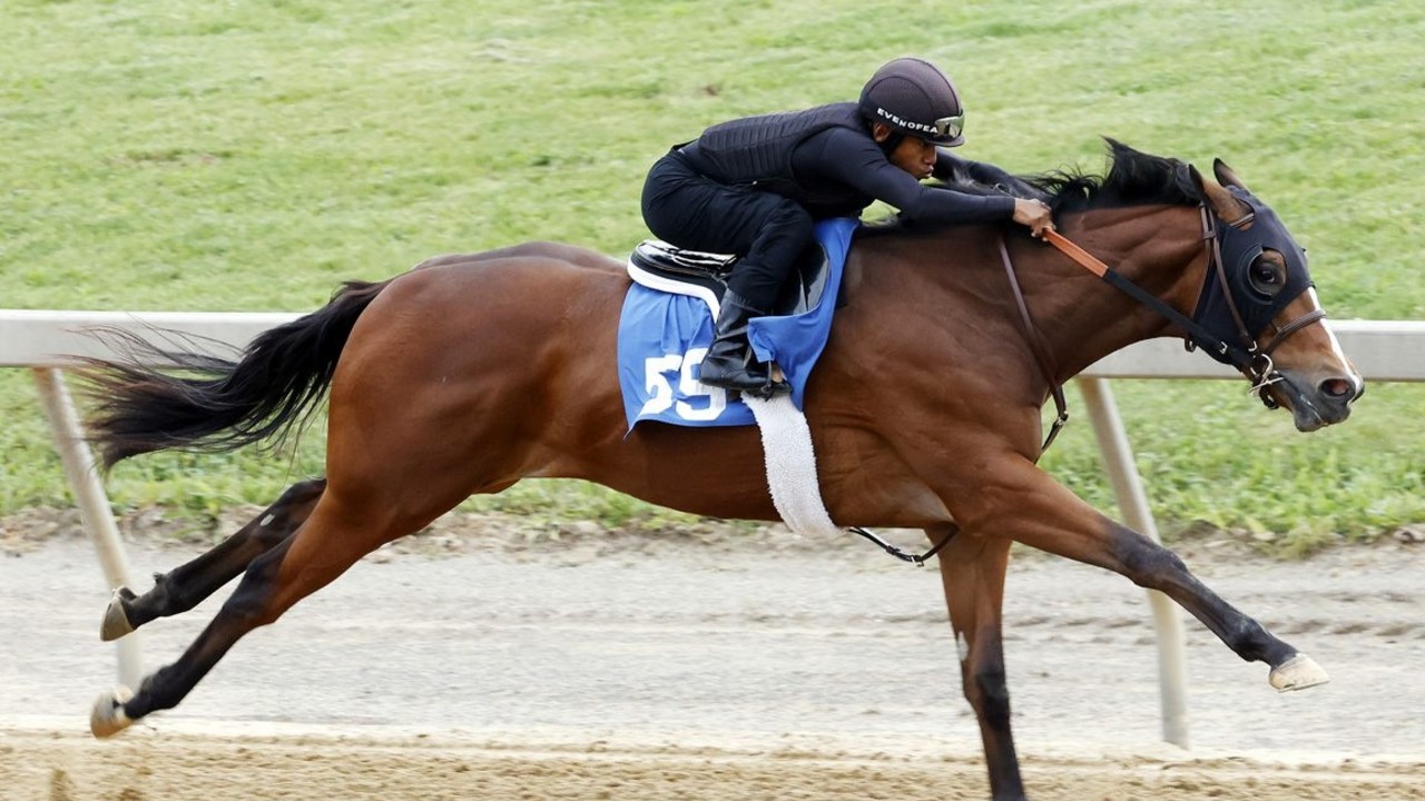 Star Performers Shine at Fasig-Tipton Midlantic Under Tack ... Image 2