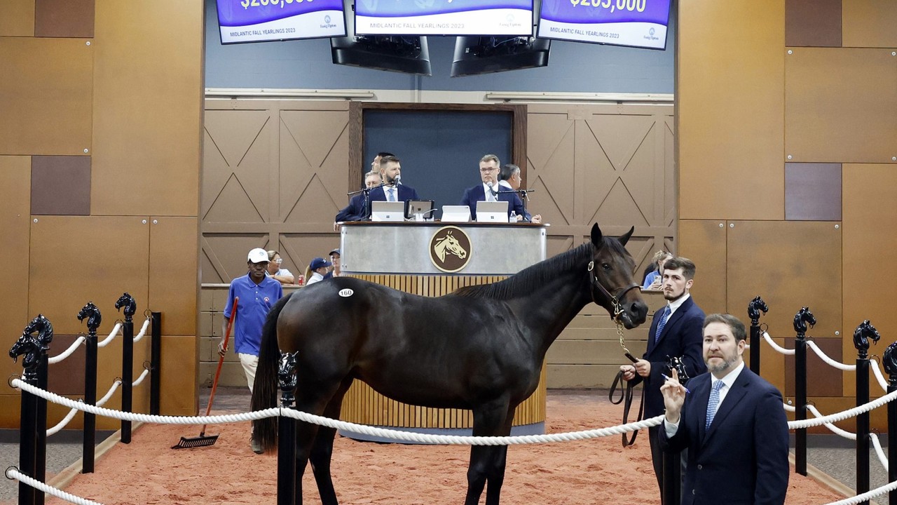 Star Performers Shine at Fasig-Tipton Midlantic Under Tack ... Image 1