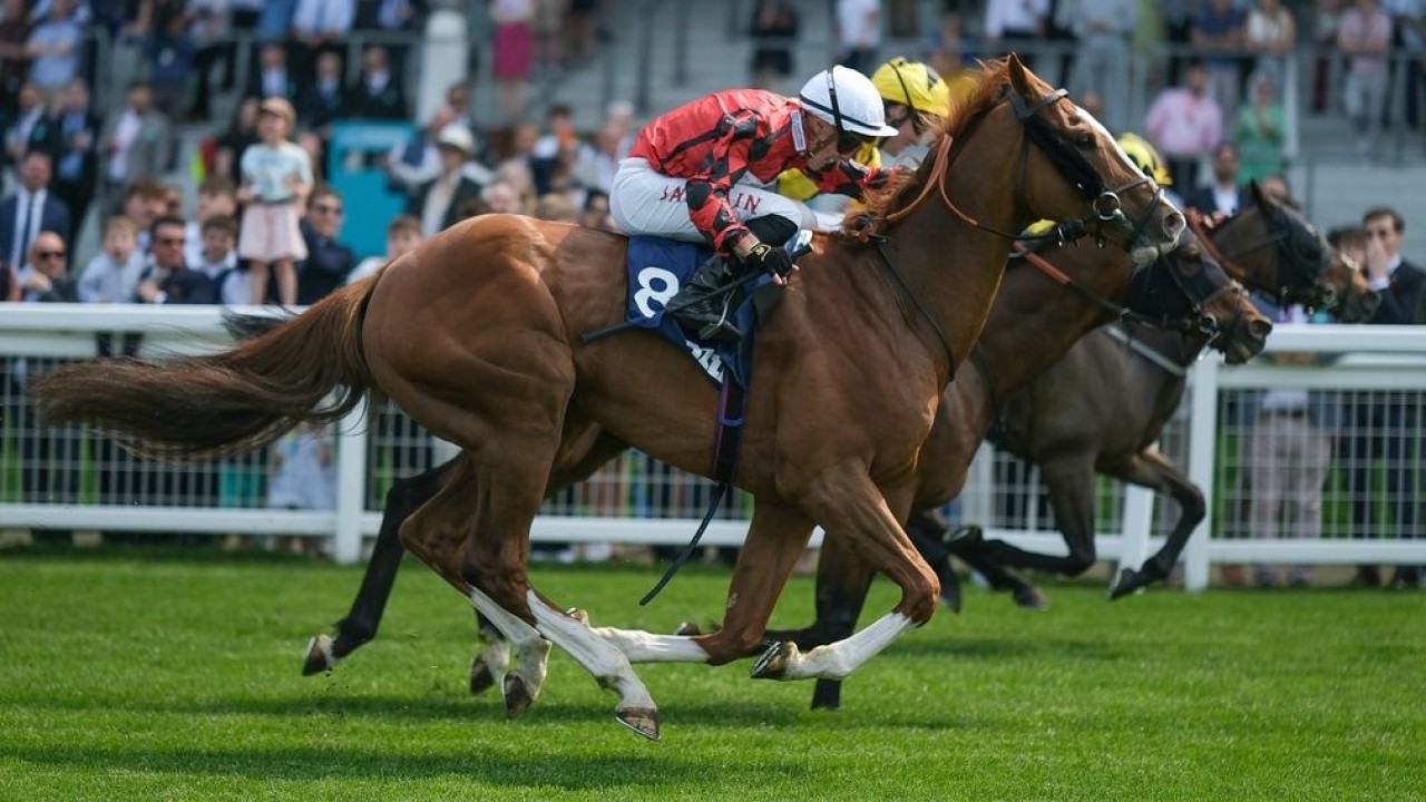 The Wizard of Eye Sets Sights on Royal Ascot Image 1