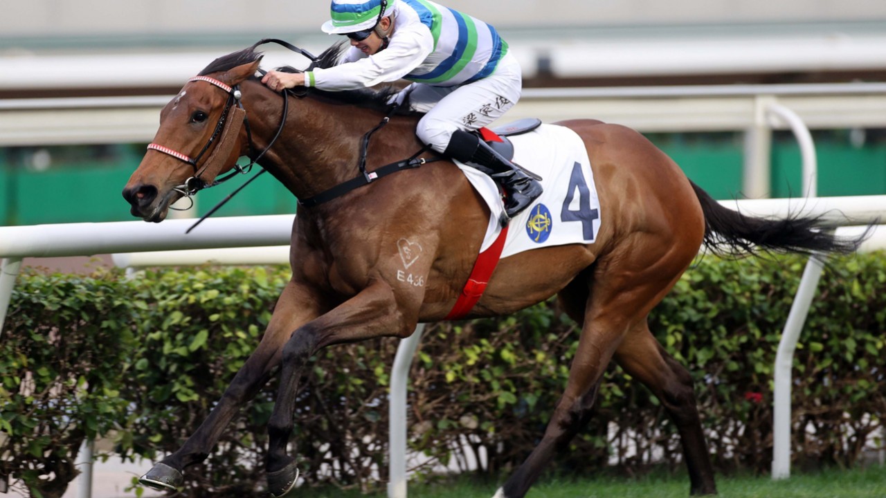 Voyage Bubble Sets Sights on Yasuda Kinen with Impressive ... Image 1