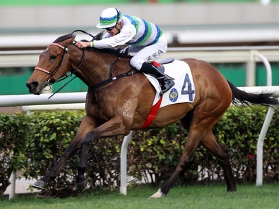 Voyage Bubble Sets Sights on Yasuda Kinen with Impressive ... Image 1