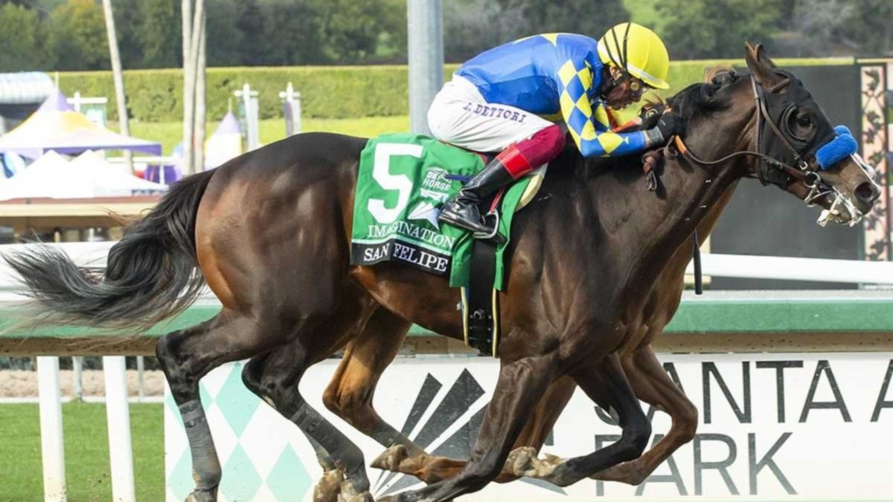 Spotting Talent, Building Success towards Preakness Stakes ... Image 1