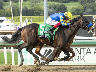 Spotting Talent, Building Success towards Preakness Stakes ... Image 1