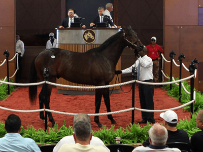 Anticipation Peaks Prior To F-T Midlantic Sale Image 1