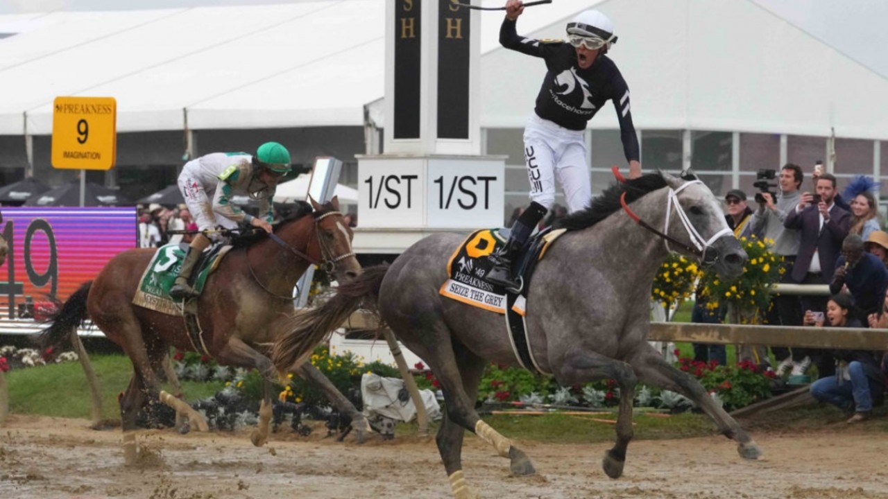 Belmont Stakes 2024: Key Contenders Emerge After Seize the ... Image 1