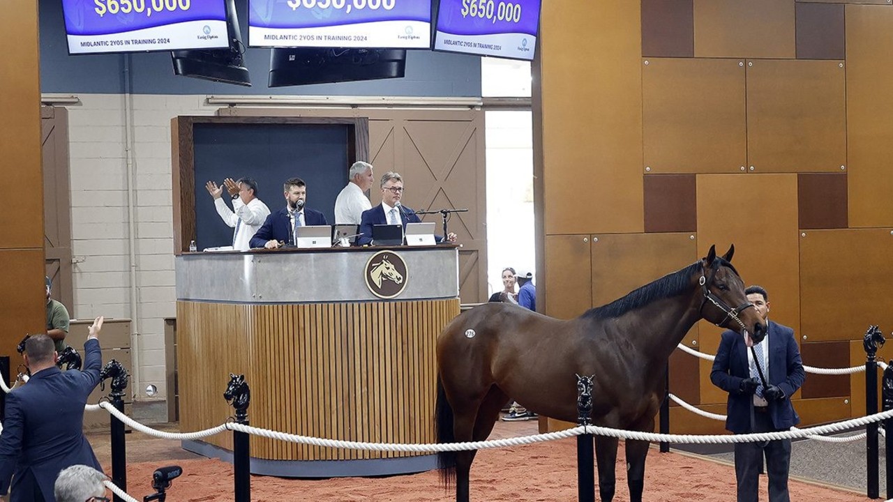 Bernardini Filly Leads F-T Midlantic Sale Opener Image 1